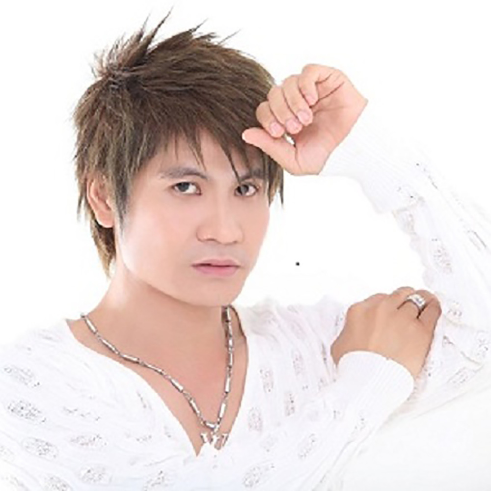 Tình Phai Remix