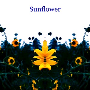 อัลบัม Sunflower ศิลปิน DJ Blue