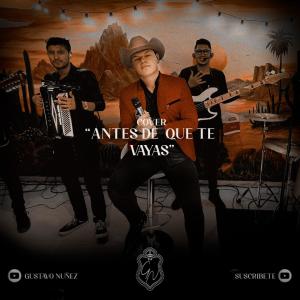 收聽Gustavo Núñez的Antes de que te vayas歌詞歌曲