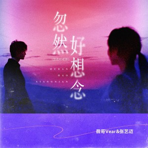 Album 忽然好想念(国语对唱版) from 王薇