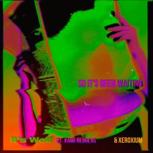 ดาวน์โหลดและฟังเพลง Been Waiting (feat. Xeroxium & Kami Nebulas) (Explicit) พร้อมเนื้อเพลงจาก Gxg Wolf