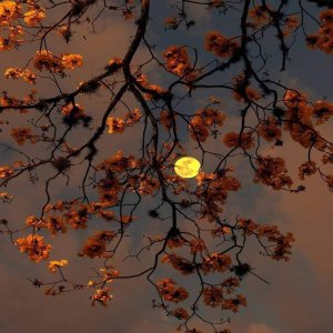 Listen to Slowly but Surely song with lyrics from ChildNoah