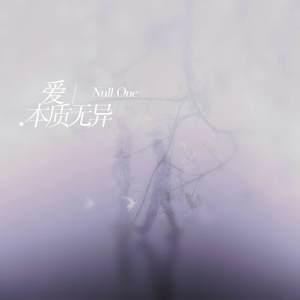 Listen to 爱本质无异 song with lyrics from Null One