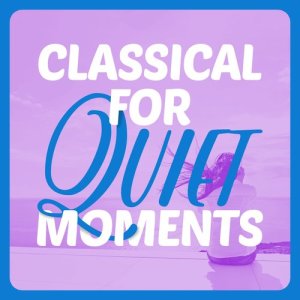 Classical Chillout Radio的專輯Classical for Quiet Moments