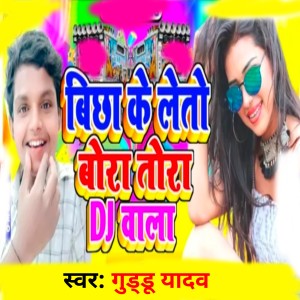 Listen to Bicha Ke Leto Bora Tora Dj Wala song with lyrics from Guddu Yadav
