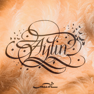 Listen to Aylin song with lyrics from Mudi