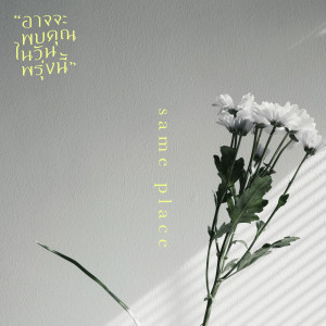 Listen to อาจจะพบคุณในวันพรุ่งนี้ song with lyrics from Sameplace