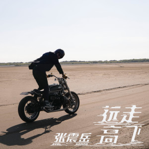 Listen to 遠走高飛 song with lyrics from Csun Yuk (张震岳)