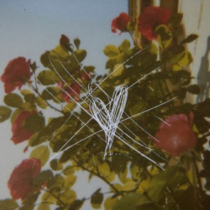 Album Wenn ich liebe (Explicit) from Siggi