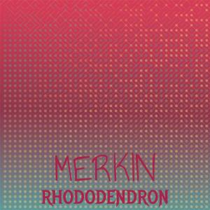 Listen to Mouthlike Wrexham song with lyrics from Sachika