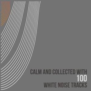 Album Calm and Collected with 100 White Noise Tracks oleh The White Noise Travelers
