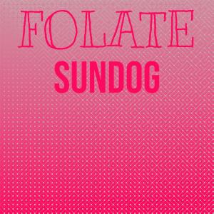 ดาวน์โหลดและฟังเพลง Folate Sundog พร้อมเนื้อเพลงจาก Gifton Babr