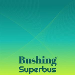 อัลบัม Bushing Superbus ศิลปิน Various