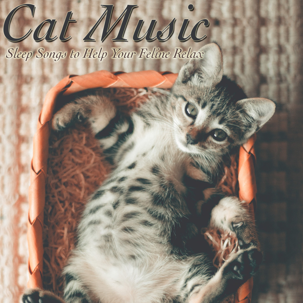 Feline Sleep Songs