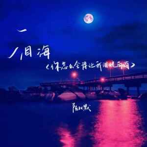 Album 泪海（你怎么舍得让我泪流向海） from 陈以默
