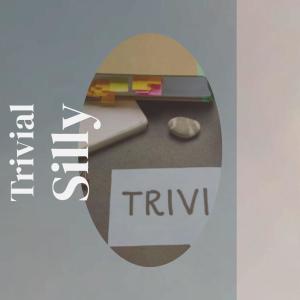 Album Trivial Silly from Various