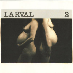 ดาวน์โหลดและฟังเพลง Seven Stages of Romance พร้อมเนื้อเพลงจาก Larval