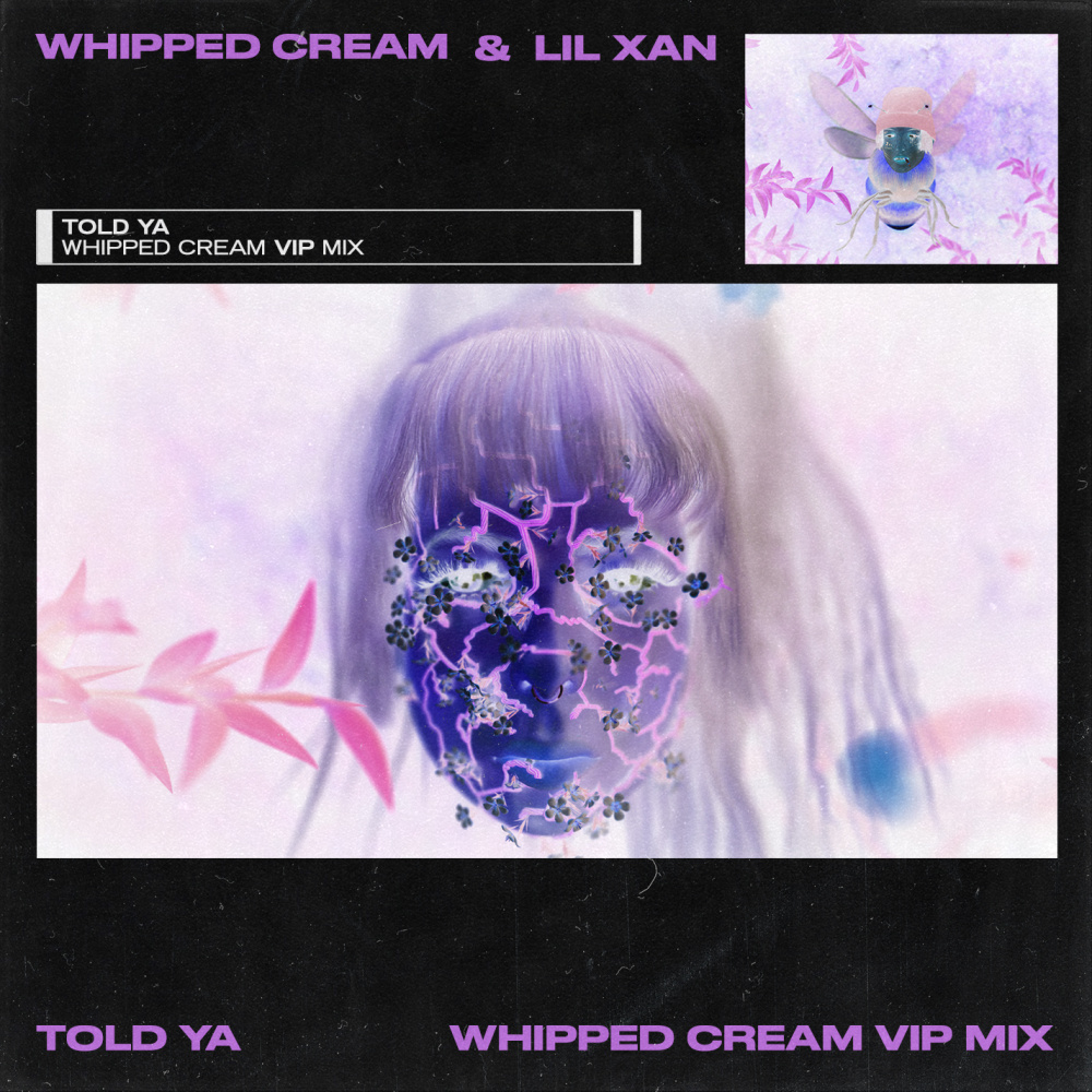 Told Ya (WHIPPED CREAM VIP MIX) (Explicit) (WHIPPED CREAM VIP MIX|Explicit)