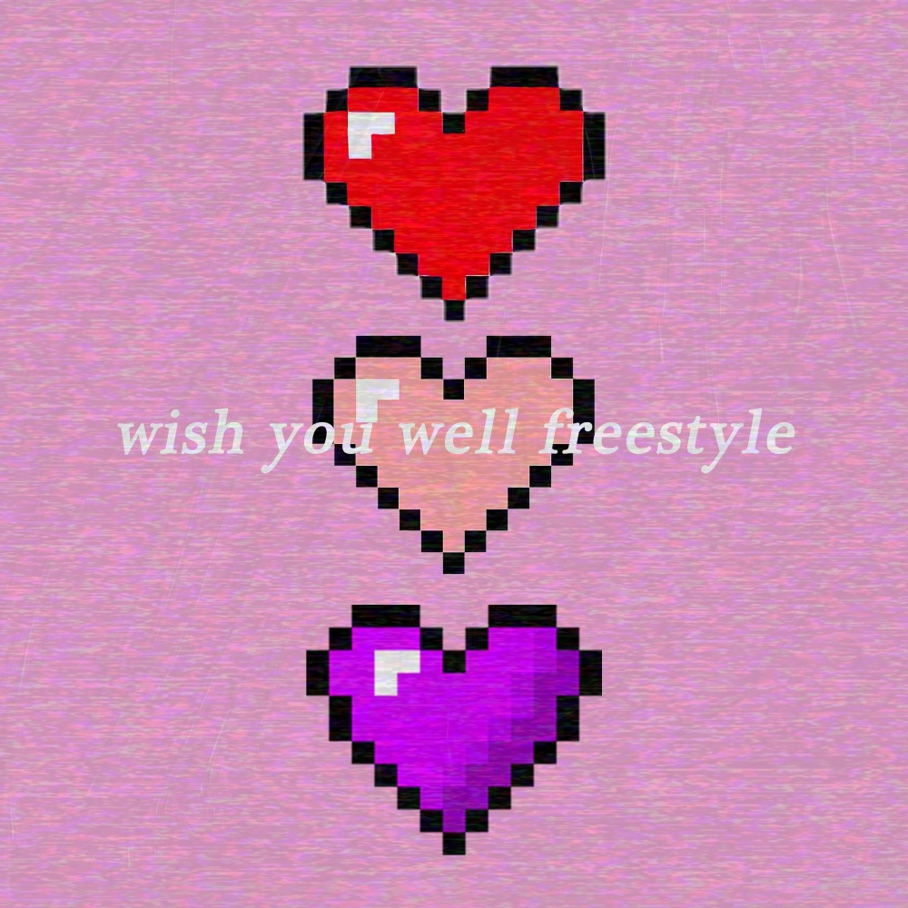 Wish You Well Freestyle