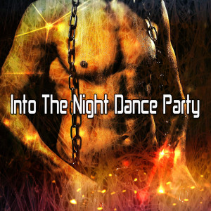 Listen to Is This What You Came For song with lyrics from CDM Project