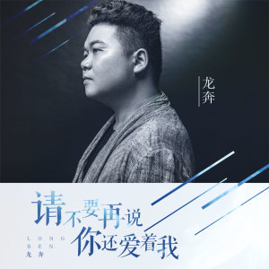 收聽龍奔的請不要再説你還愛着我 (DJ版)歌詞歌曲
