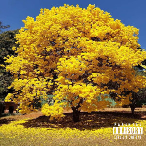 Album YPÊ FLORIDO (Explicit) from 