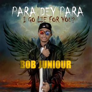 Bob Junior的專輯Para dey Para (i go lie for you?)