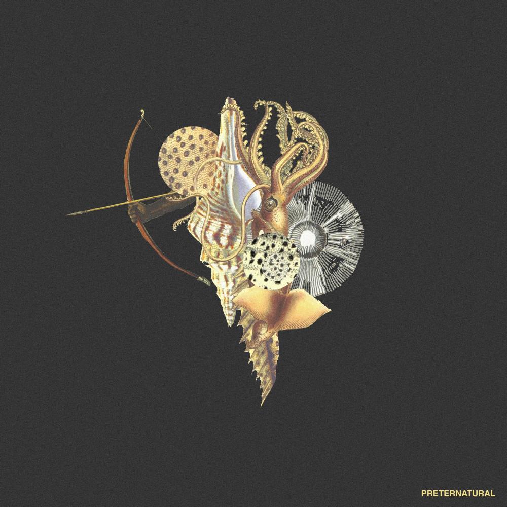 Metamorphosis (feat. BRYSON THE ALIEN)