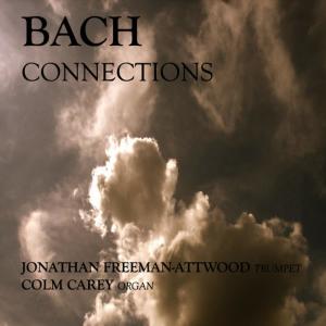 收聽Jonathan Freeman-Attwood的Alessandro Marcello- Concerto In D Minor - Allegro-JF-Jonathan Freeman歌詞歌曲