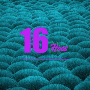 Album 16Hoes DW (feat. Blaqbonez) [Special Version] (Explicit) oleh Légendary Crack