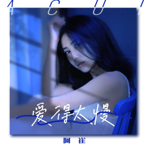 Listen to 爱得太慢 (伴奏) song with lyrics from 阿崔