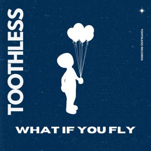 Toothless的專輯What If You Fly