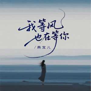 燕宝儿的专辑我等风也在等你