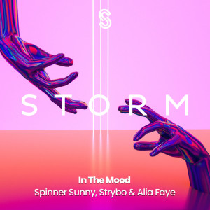 ดาวน์โหลดและฟังเพลง In The Mood พร้อมเนื้อเพลงจาก Spinner Sunny