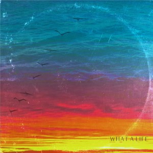 Witness的專輯What A Life