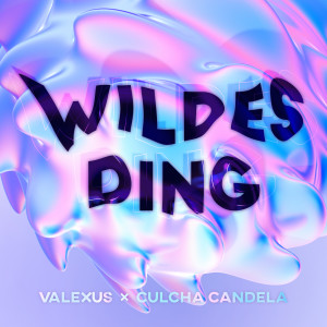 culcha candela的專輯WILDES DING (Explicit)