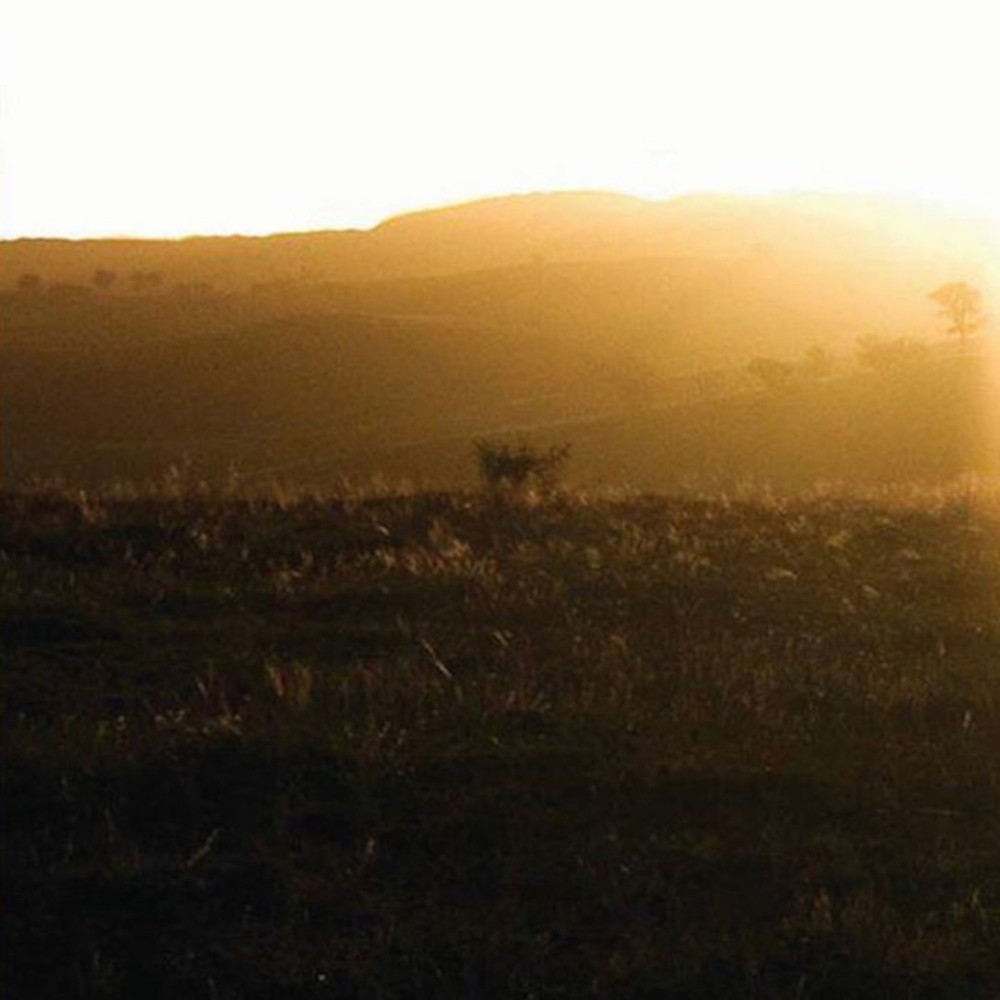 Dawn Songs, Pt. 2