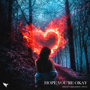 Album Hope You're Okay from Hidden Melodies