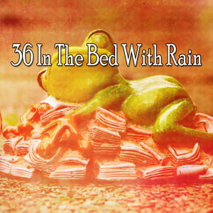 ดาวน์โหลดและฟังเพลง Steady Downpour พร้อมเนื้อเพลงจาก Rain Sounds