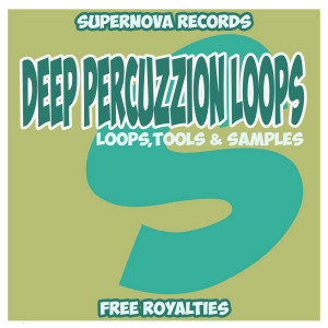 ดาวน์โหลดและฟังเพลง Deep Percuzzion Loops 128 (Tool 18) พร้อมเนื้อเพลงจาก Patrick Seeker
