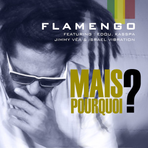 Listen to Hypocrisie song with lyrics from Flamengo