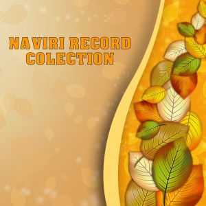 Asmin C的专辑Naviri Record Collection