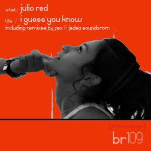 收聽Julio Red的I Guess You Know (DJ Fex Remix)歌詞歌曲