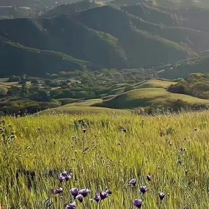 Listen to Goyang Ubur Ubur song with lyrics from 洛里嗒