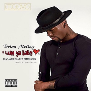 Listen to I Luh Ya Baby (Explicit) song with lyrics from Brian Mellow