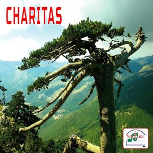 Album Charitas from 