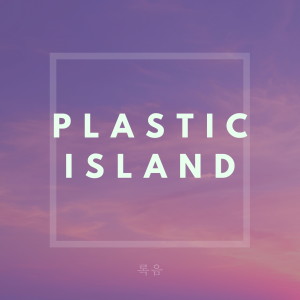 Album 플라스틱 아일랜드 from 록음