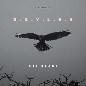 Dengarkan lagu S.k.y.l.e.r nyanyian Boi Blaze dengan lirik