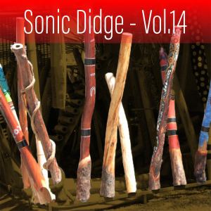 Sonic Didge, Vol. 14
