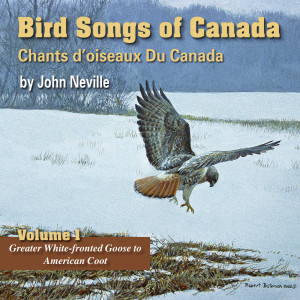 Listen to Common Goldeneye song with lyrics from John Neville